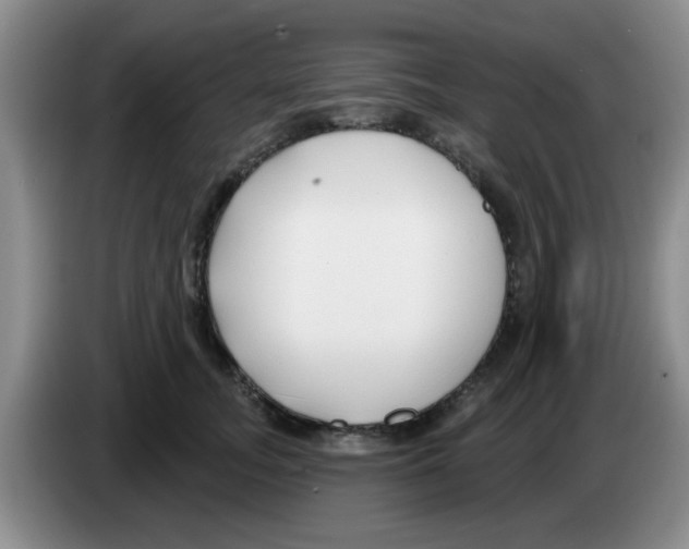 X0000083590755200703091719