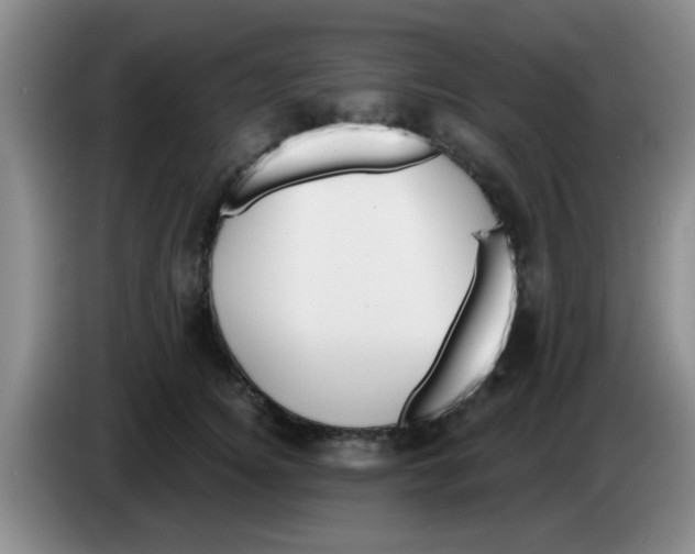 X0000083590756200703091719