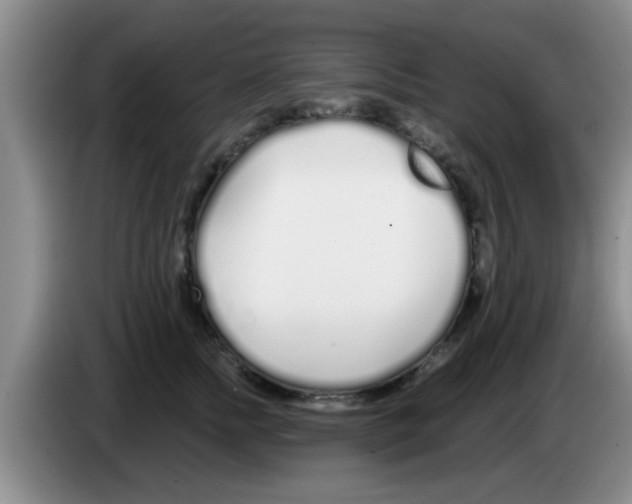 X0000083590758200703091719