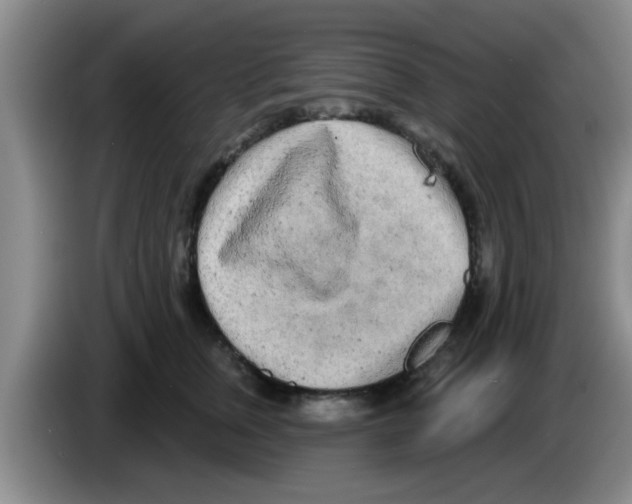 X0000083590759200703091719