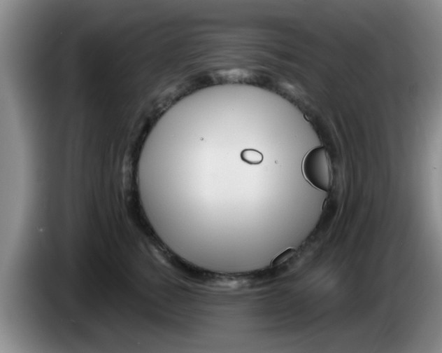 X0000083590760200703091719