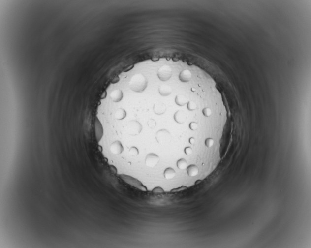 X0000083590761200703091719