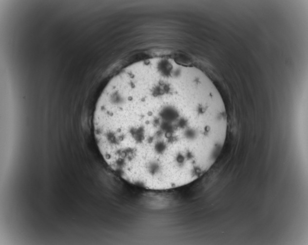 X0000083590763200703091719