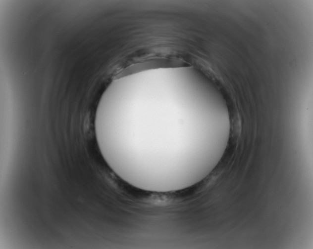 X0000083590764200703091719