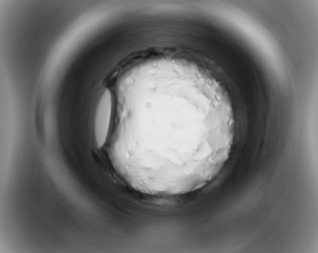 X0000083590765200703091719