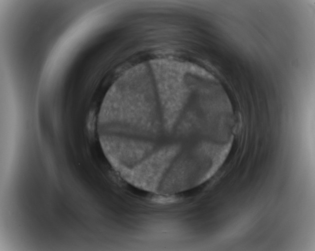 X0000083590767200703091719
