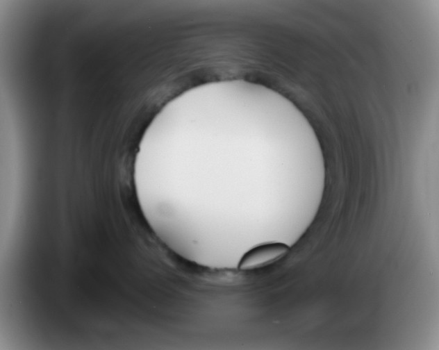 X0000083590768200703091719