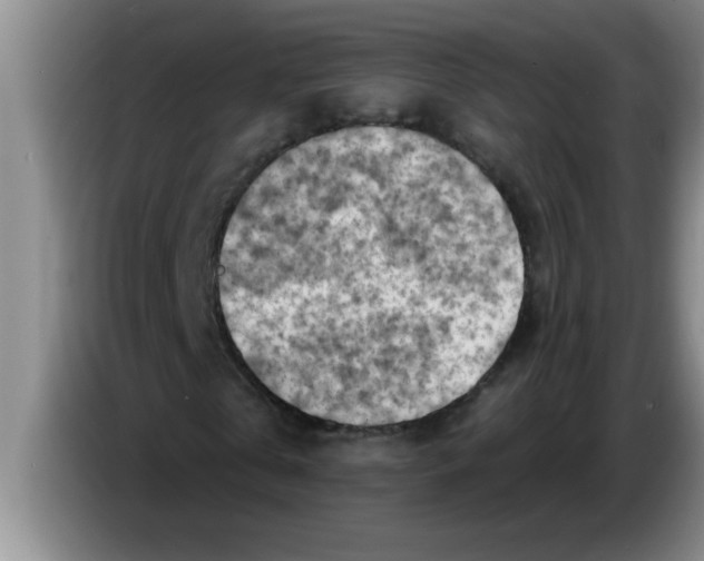 X0000083590769200703091718
