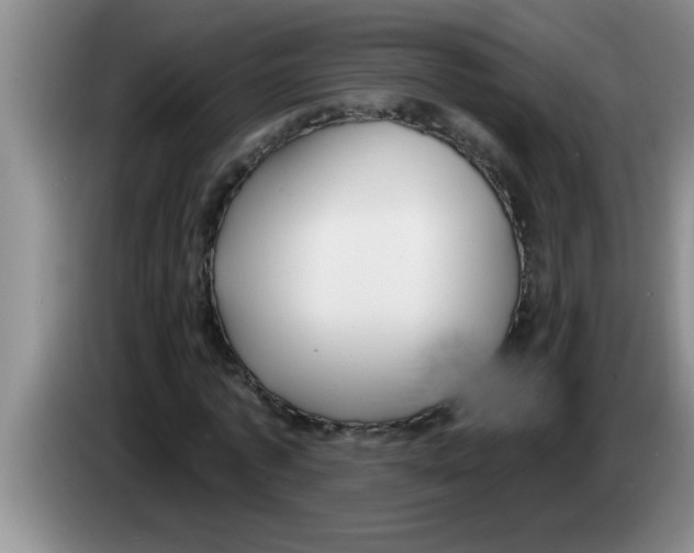 X0000083590773200703091718