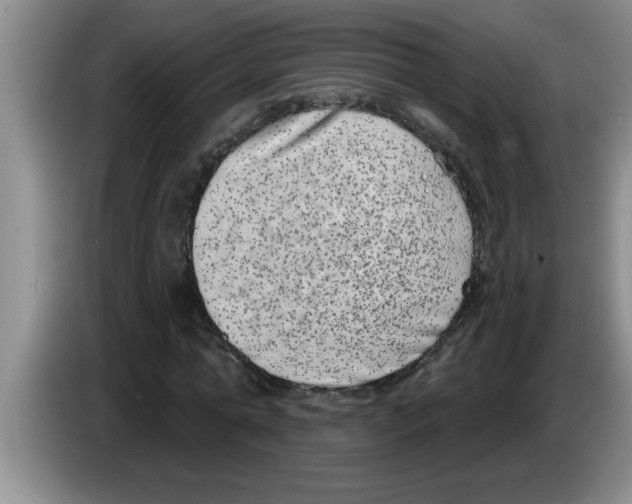 X0000083590774200703091718
