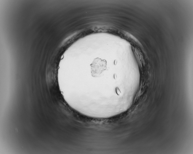 X0000083590775200703091718