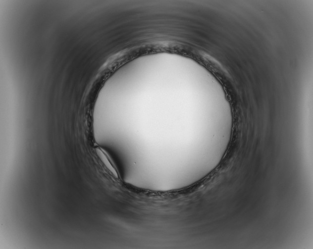 X0000083590776200703091718