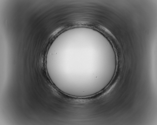 X0000083590777200703091718