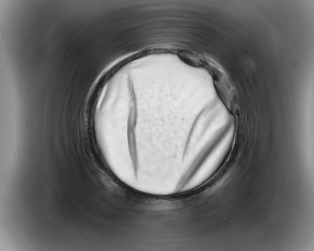 X0000083590779200703091718