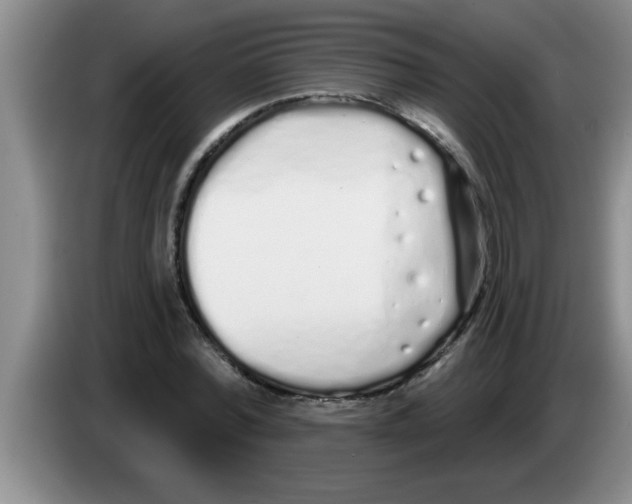X0000083590780200703091718