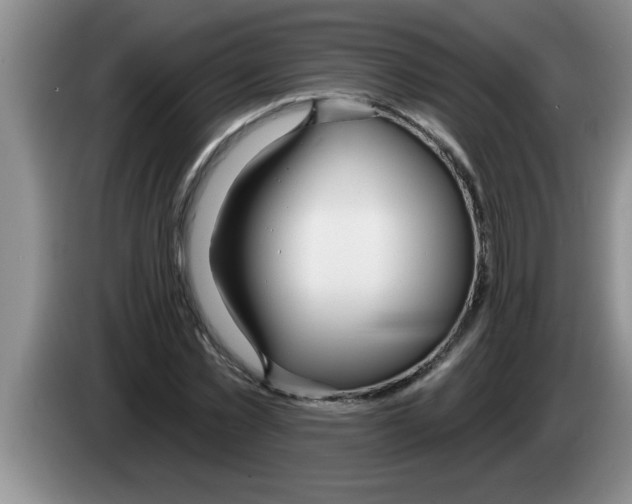 X0000083590781200703091718