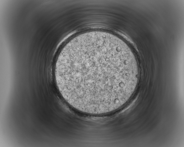 X0000083590782200703091718