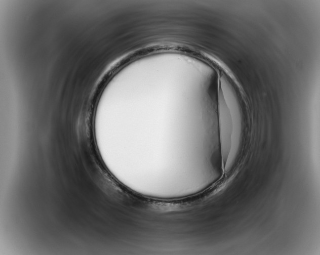 X0000083590783200703091718