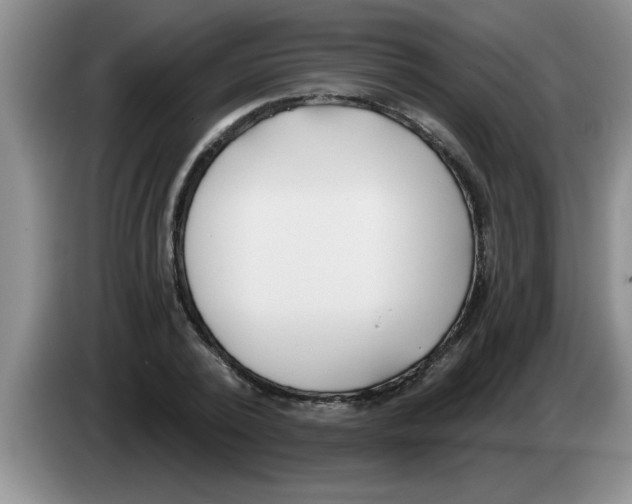 X0000083590784200703091718