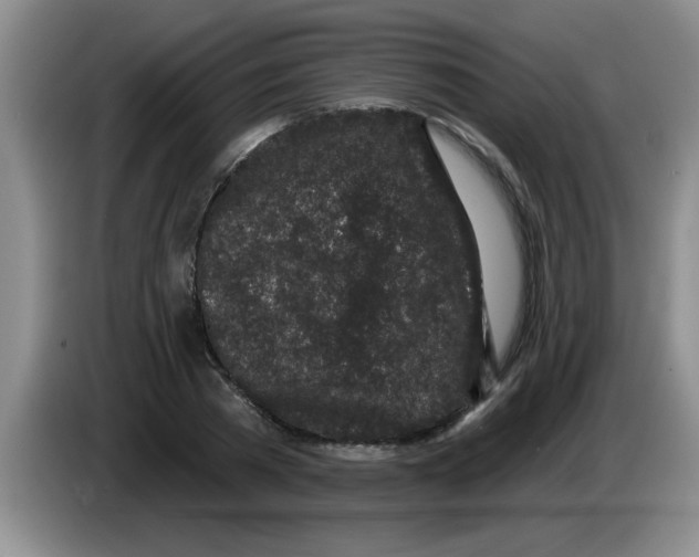 X0000083590785200703091718