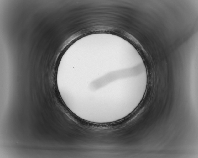 X0000083590786200703091718