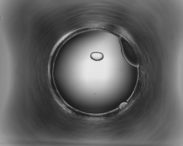 X0000083590788200703091718