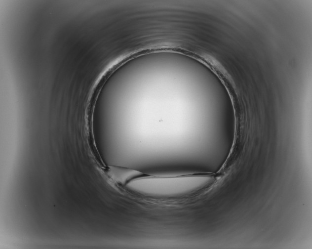 X0000083590789200703091718