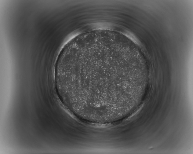 X0000083590790200703091718