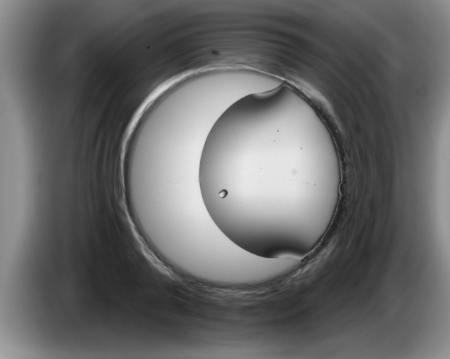 X0000083590792200703091718