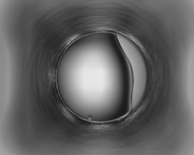 X0000083590793200703091718