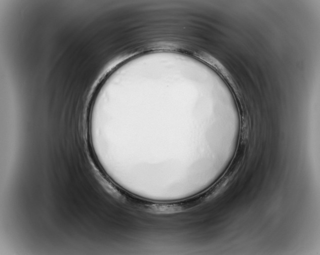 X0000083590795200703091718