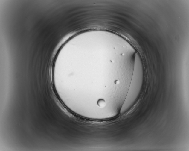 X0000083590796200703091718