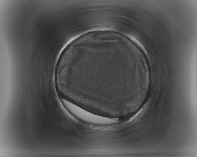 X0000083590797200703091718