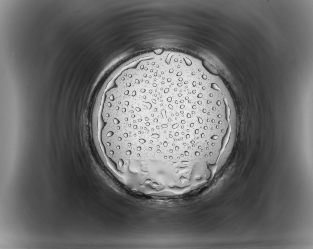 X0000083590798200703091718