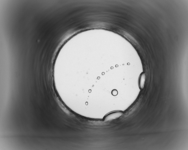 X0000083590800200703091718