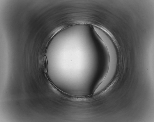 X0000083590801200703091718
