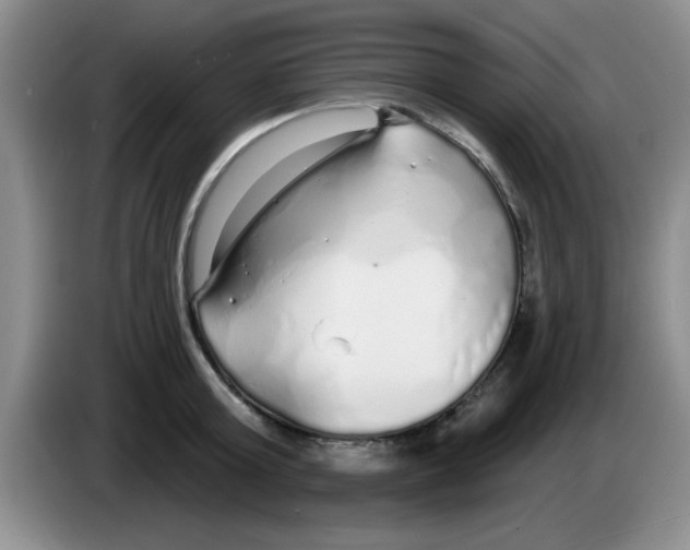 X0000083590803200703091718
