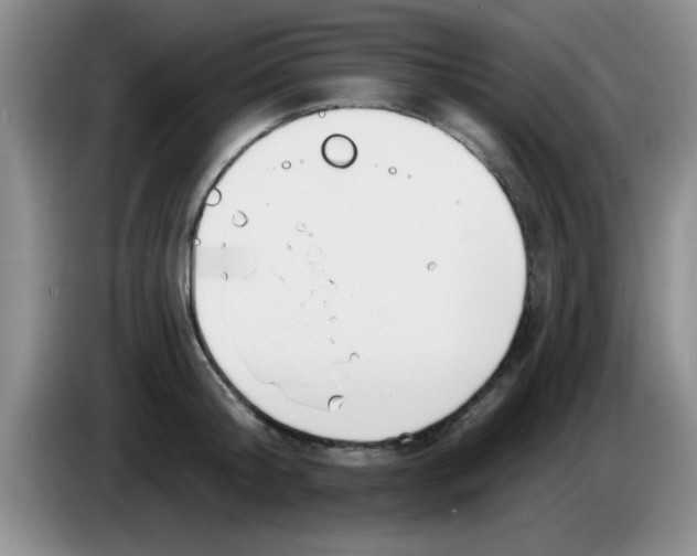 X0000083590804200703091718