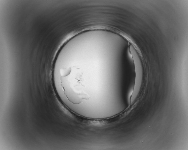 X0000083590805200703091718