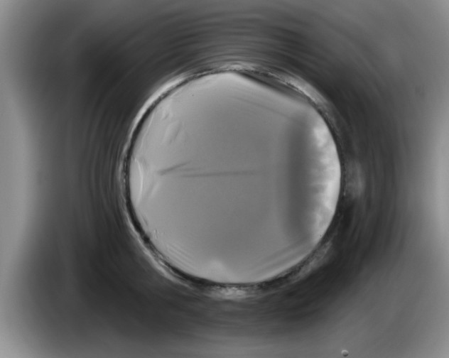 X0000083590806200703091718