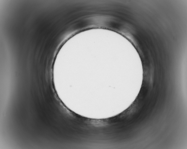 X0000083590807200703091718