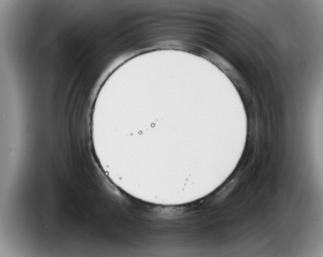 X0000083590808200703091718