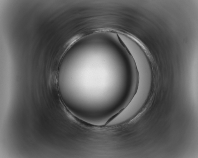 X0000083590809200703091718