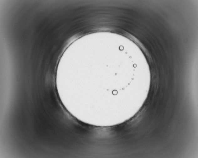 X0000083590810200703091718