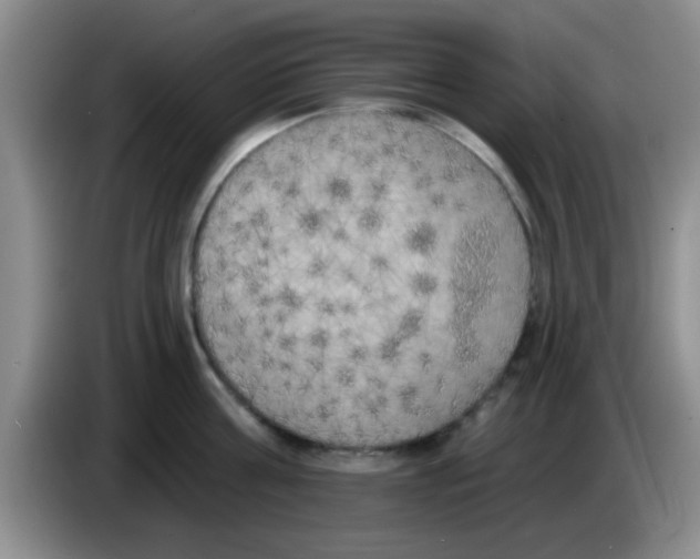 X0000083590811200703091718