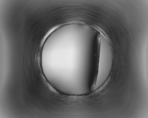 X0000083590812200703091718