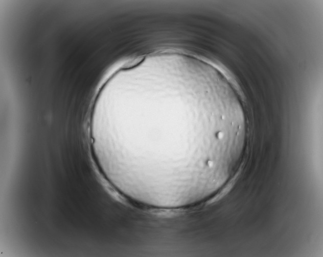 X0000083590814200703091718