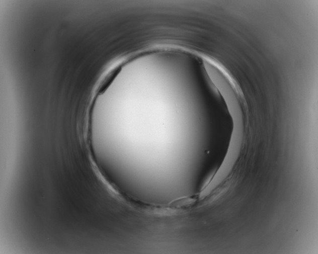 X0000083590815200703091718