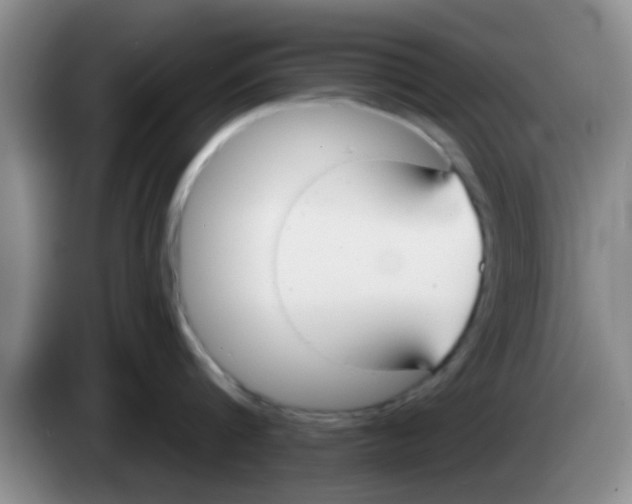 X0000083590816200703091718
