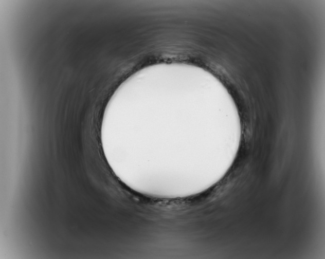 X0000083590817200703091717